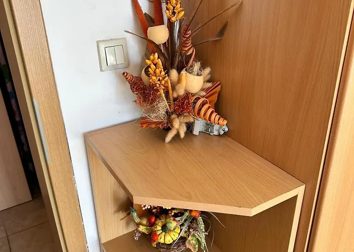 Aspen Golf With Stunning Mountain View Apartment *